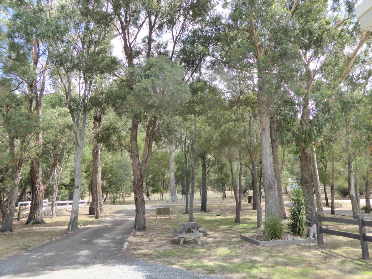 Dacelo Halls Gap Exterior foto